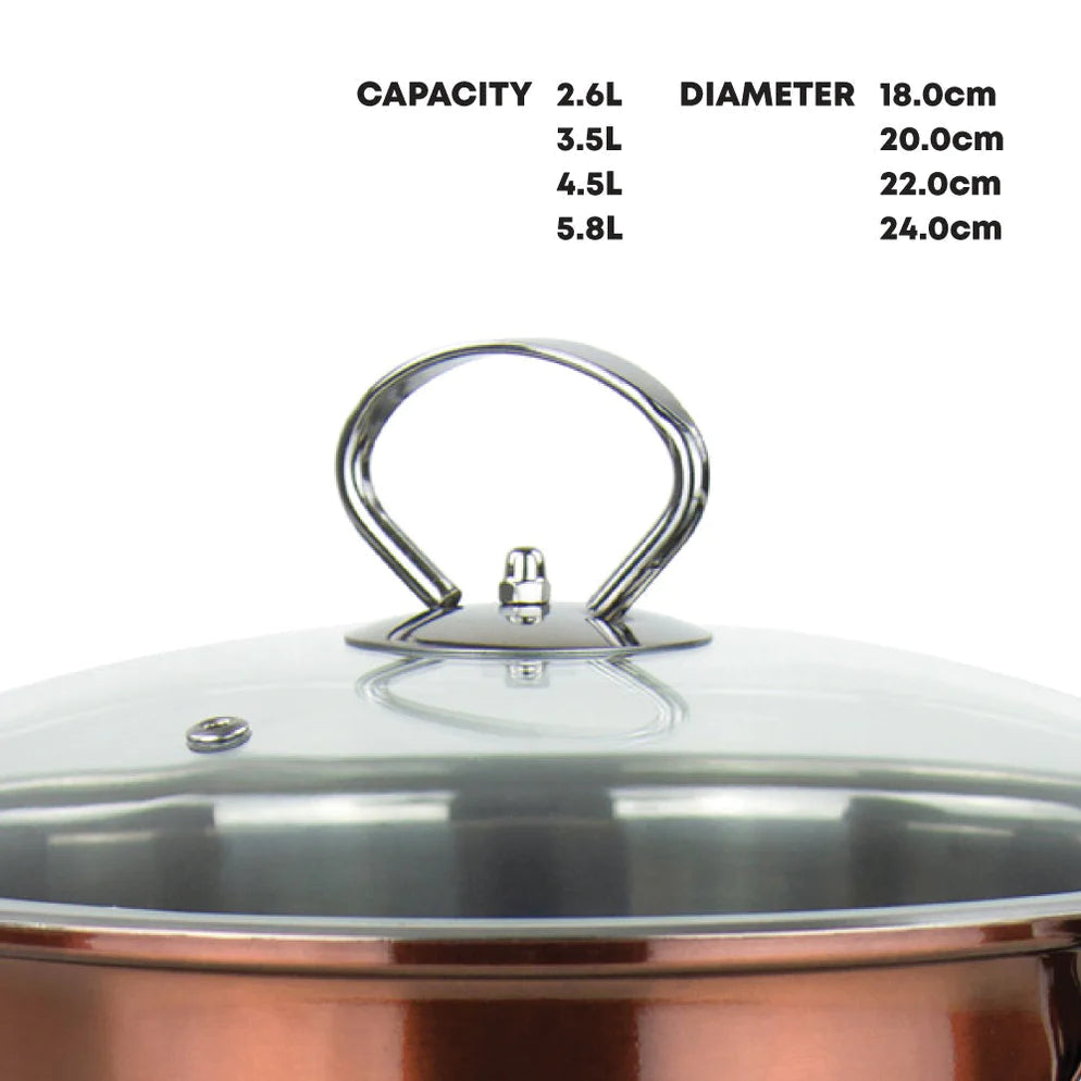 Stainless Steel Stockpot - Induction Base - AXINITE - 26cm