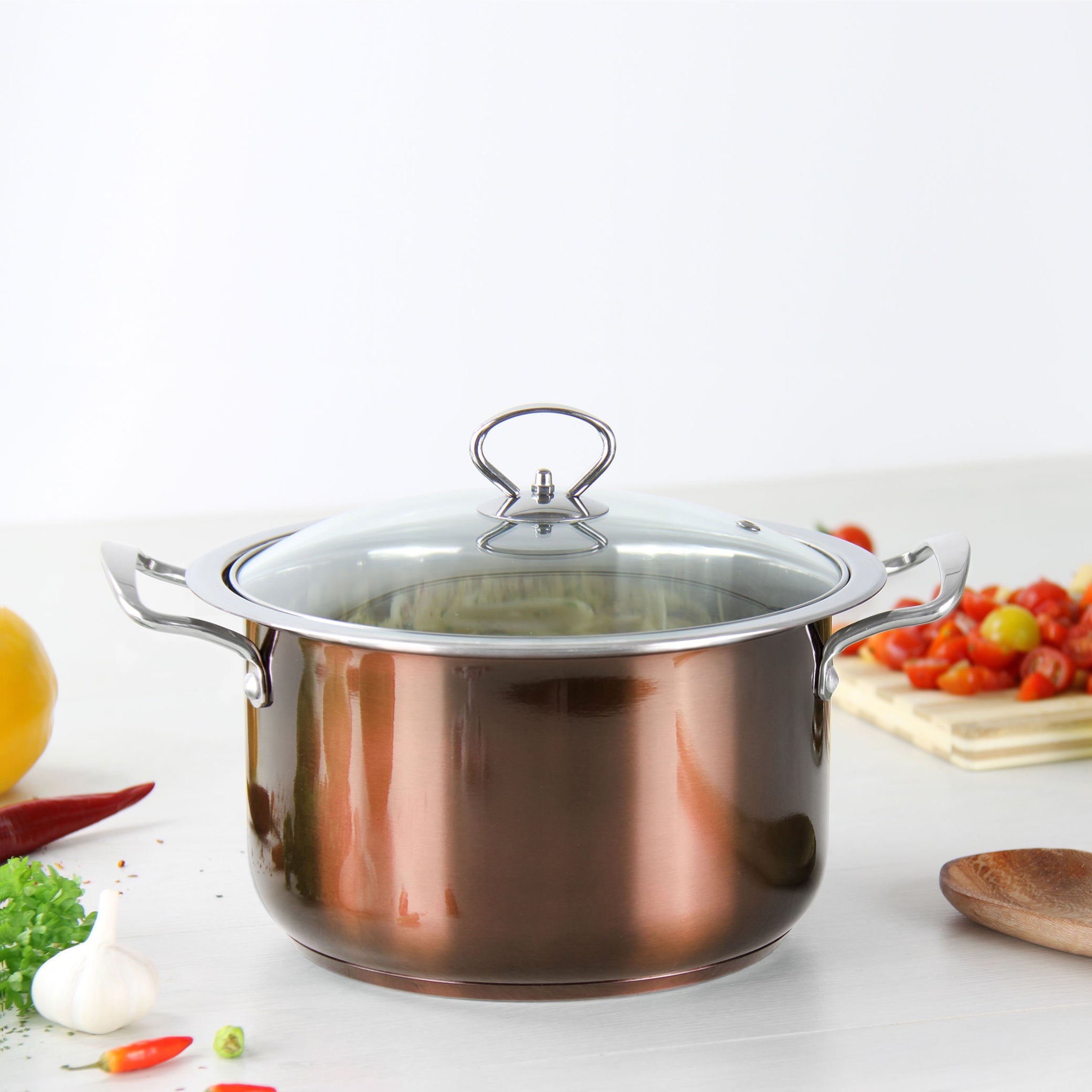 Stainless Steel Stockpot - Induction Base - AXINITE - 28cm