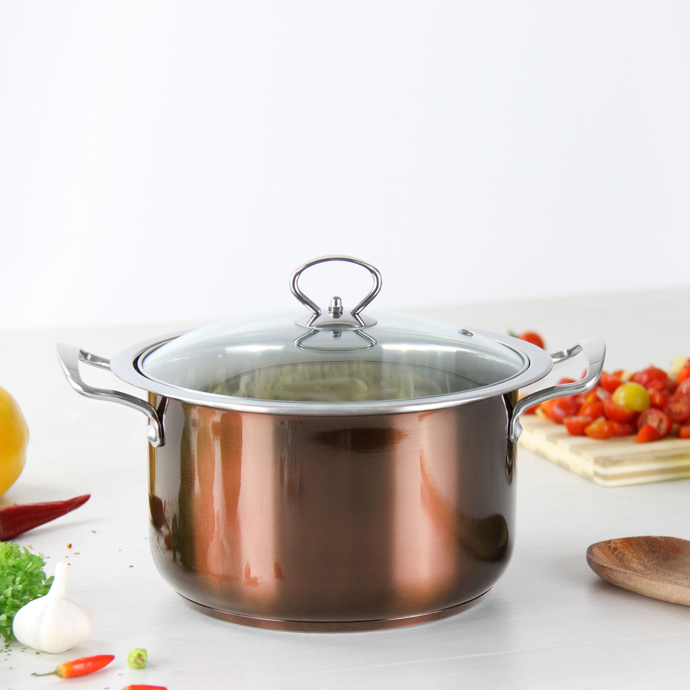 Stainless Steel Stockpot - Induction Base - AXINITE - 24cm